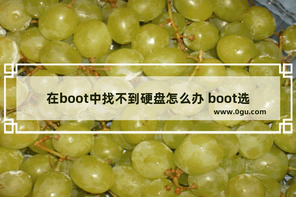 在boot中找不到硬盘怎么办 boot选项里找不到硬盘启动项