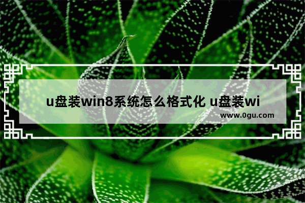 u盘装win8系统怎么格式化 u盘装win8系统教程