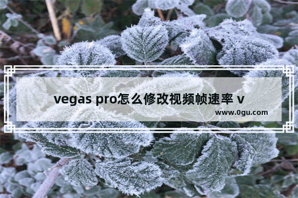 vegas pro怎么修改视频帧速率 vegas pro18修改视频帧速率的方法