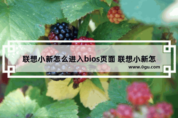 联想小新怎么进入bios页面 联想小新怎么进去bios界面