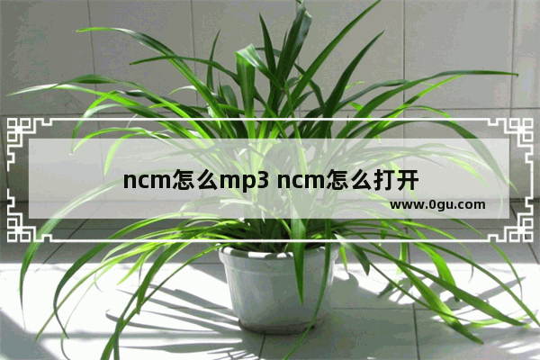 ncm怎么mp3 ncm怎么打开