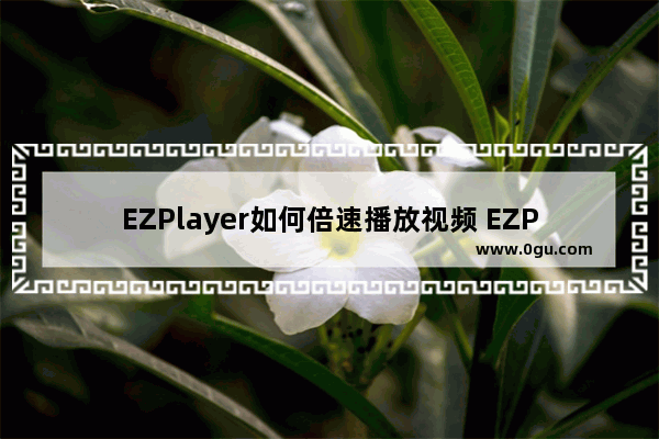 EZPlayer如何倍速播放视频 EZPlayer倍速播放视频的方法