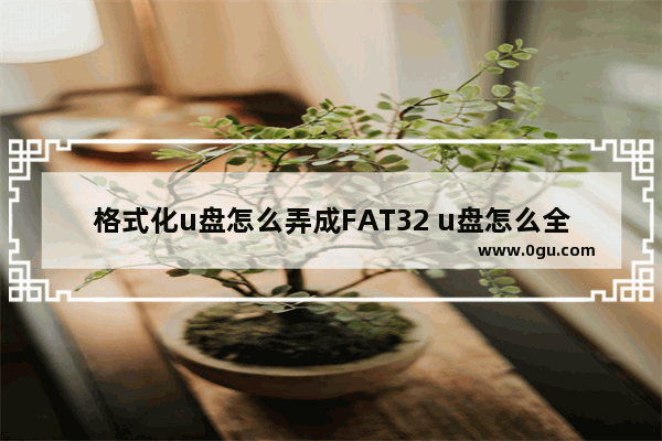 格式化u盘怎么弄成FAT32 u盘怎么全部格式化