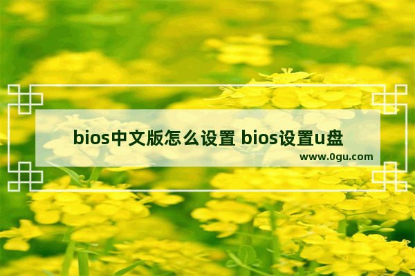 bios中文版怎么设置 bios设置u盘启动