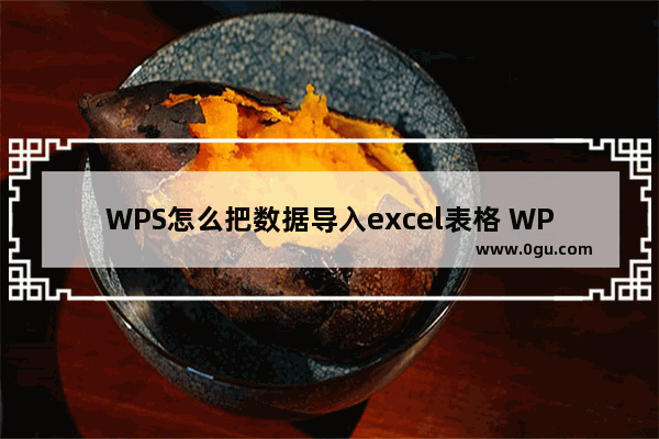 WPS怎么把数据导入excel表格 WPS把数据导入到excel表格中的方法