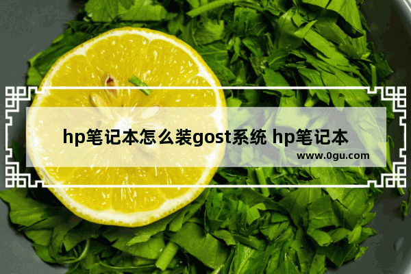 hp笔记本怎么装gost系统 hp笔记本用u盘安装系统