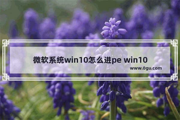 微软系统win10怎么进pe win10怎么进去winpe