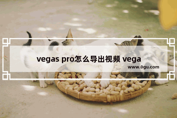 vegas pro怎么导出视频 vegas pro18导出视频的方法