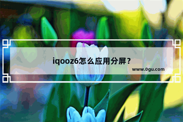 iqooz6怎么应用分屏？