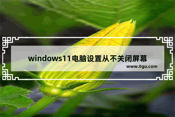 windows11电脑设置从不关闭屏幕