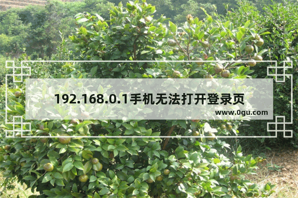 192.168.0.1手机无法打开登录页面？