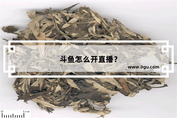 斗鱼怎么开直播？