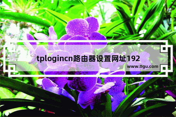 tplogincn路由器设置网址192