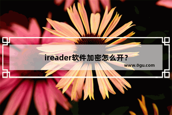 ireader软件加密怎么开？