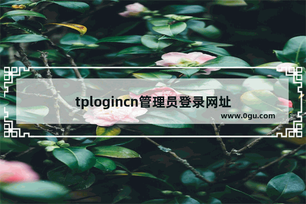 tplogincn管理员登录网址