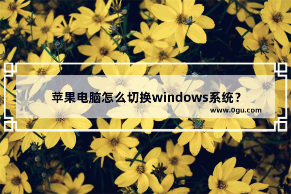 苹果电脑怎么切换windows系统？