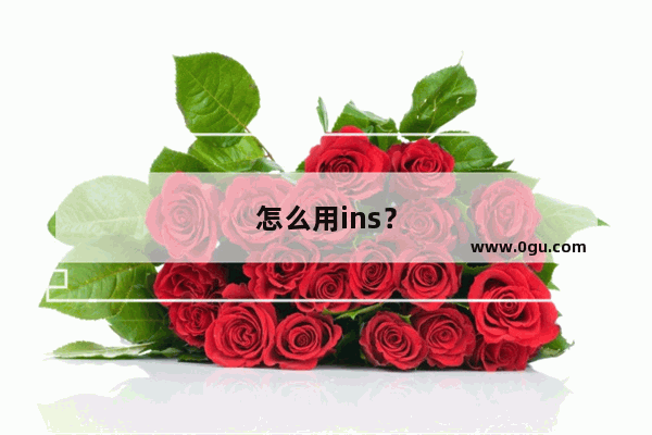 怎么用ins？