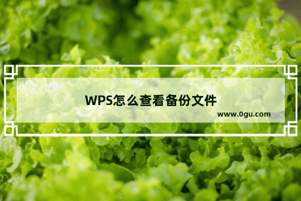 WPS怎么查看备份文件