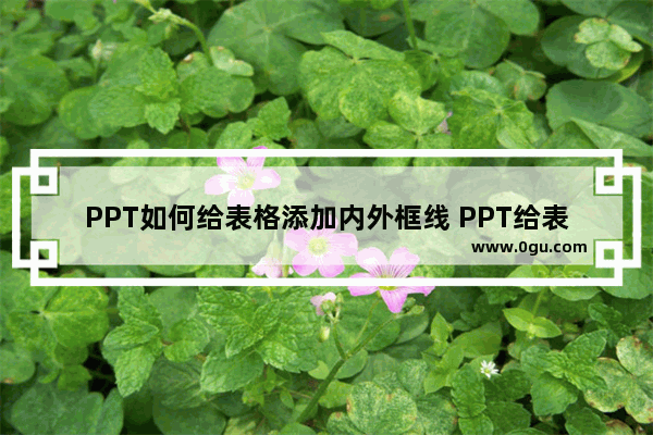 PPT如何给表格添加内外框线 PPT给表格添加内外框线的方法