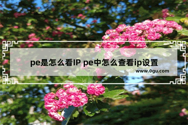 pe是怎么看IP pe中怎么查看ip设置