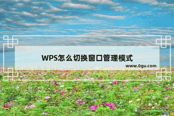 WPS怎么切换窗口管理模式