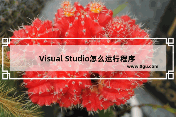 Visual Studio怎么运行程序 microsoft visual studio2010中运行程序的方法