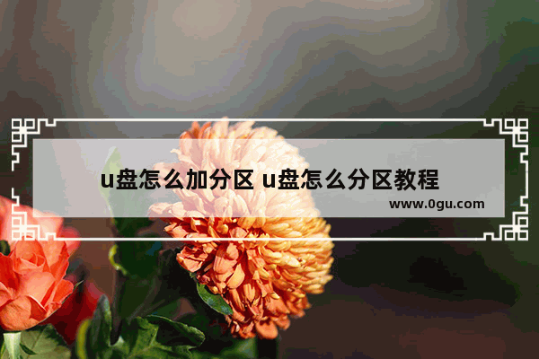 u盘怎么加分区 u盘怎么分区教程