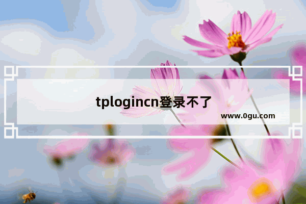 tplogincn登录不了