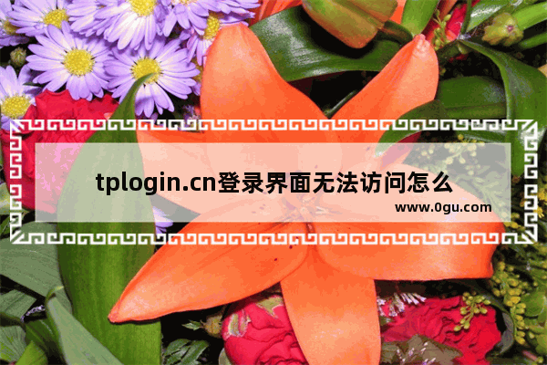 tplogin.cn登录界面无法访问怎么办