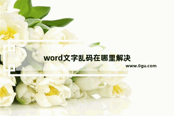 word文字乱码在哪里解决