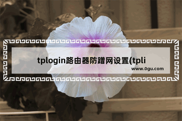 tplogin路由器防蹭网设置(tplink路由器安全设置在哪)