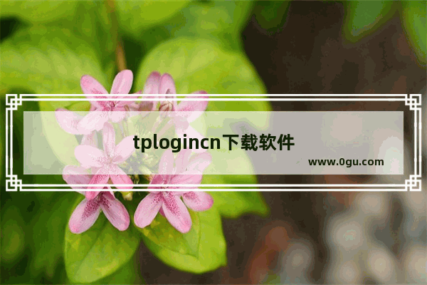 tplogincn下载软件