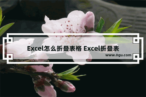 Excel怎么折叠表格 Excel折叠表格的方法