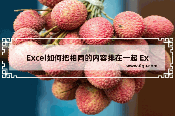 Excel如何把相同的内容排在一起 Excel把相同的内容排在一起的方法