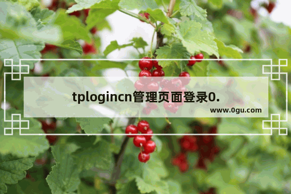 tplogincn管理页面登录0.