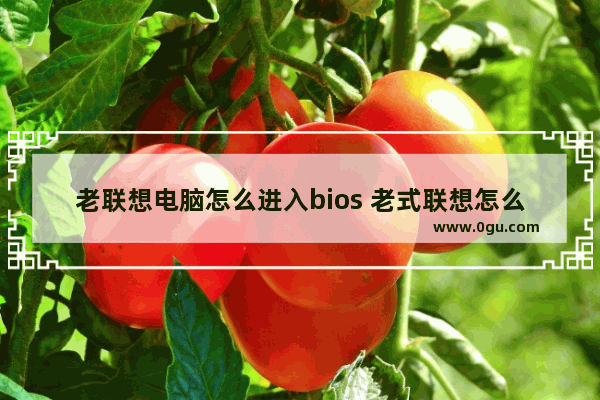 老联想电脑怎么进入bios 老式联想怎么进入bios设置