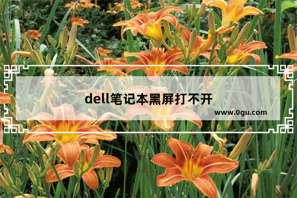 dell笔记本黑屏打不开