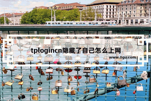 tplogincn隐藏了自己怎么上网