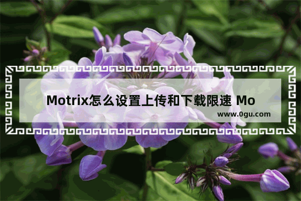 Motrix怎么设置上传和下载限速 Motrix设置限速的方法