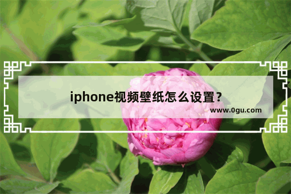 iphone视频壁纸怎么设置？