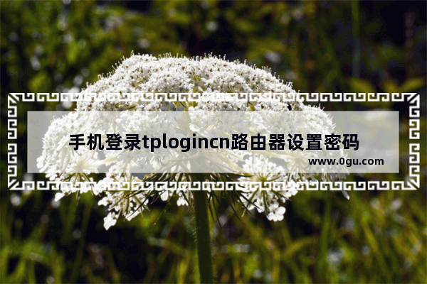 手机登录tplogincn路由器设置密码