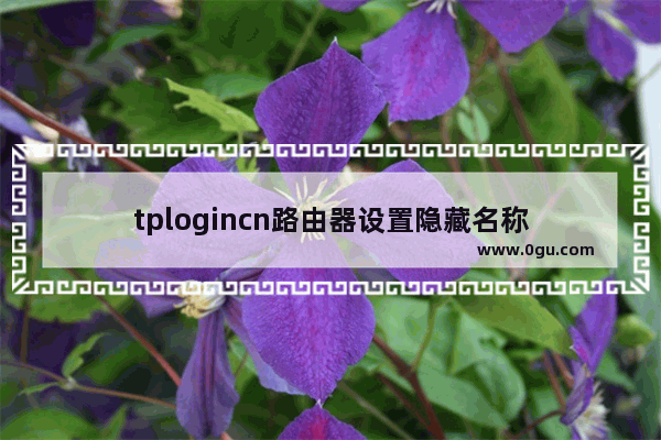 tplogincn路由器设置隐藏名称