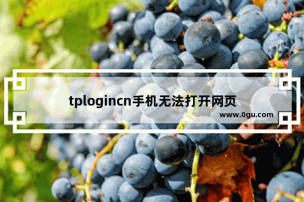 tplogincn手机无法打开网页