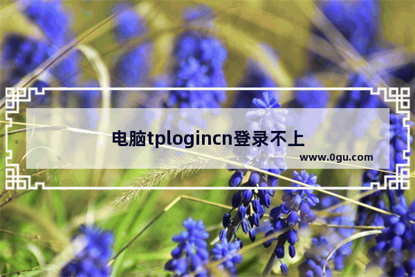 电脑tplogincn登录不上