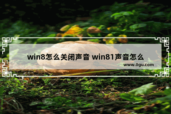 win8怎么关闭声音 win81声音怎么设置