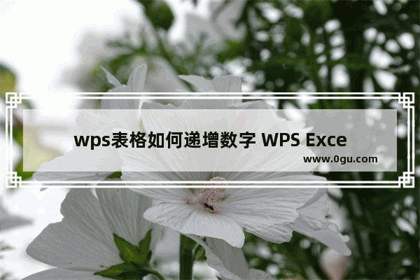 wps表格如何递增数字 WPS Excel设置自动递增序号的方法