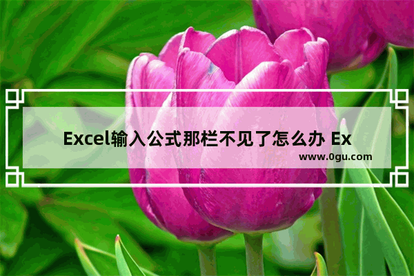 Excel输入公式那栏不见了怎么办 Excel输入公式那栏不显示的解决方法