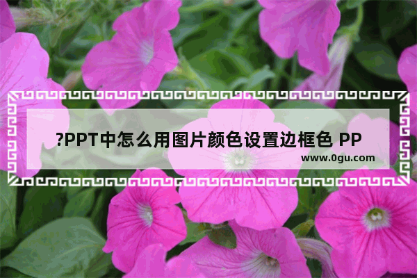 ?PPT中怎么用图片颜色设置边框色 PPT设置边框色与图片色一致的方法教程