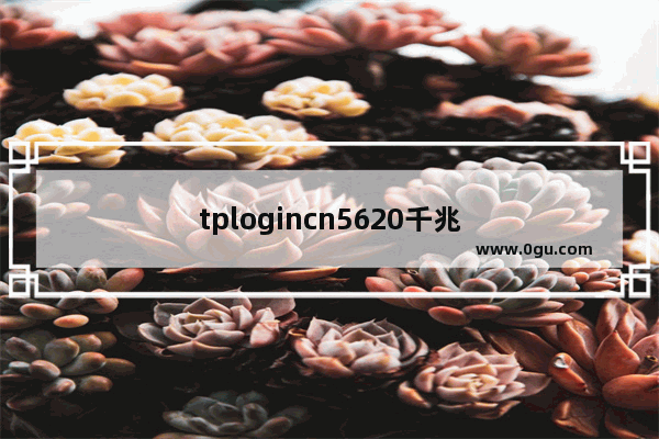 tplogincn5620千兆