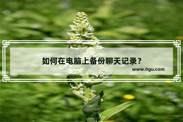 如何在电脑上备份聊天记录？